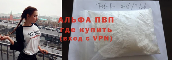 дживик Няндома