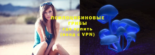прущий лед Осташков