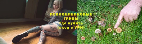 сатива Нязепетровск