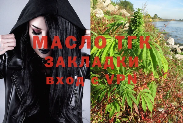 шишки Заволжье