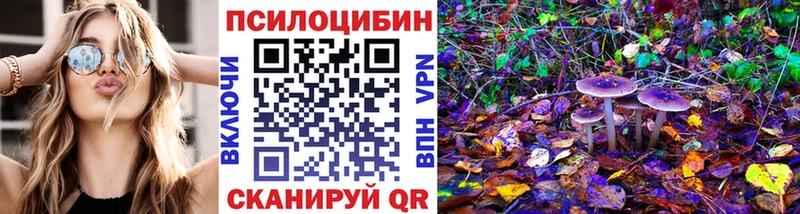 Псилоцибиновые грибы Magic Shrooms  купить  сайты  Протвино 