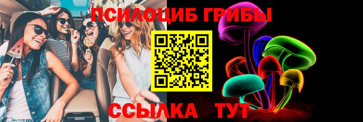 Протвино  Псилоцибиновые грибы GOLDEN TEACHER  продажа наркотиков  Галлюциногенные грибы ЛСД  Вход с VPN 