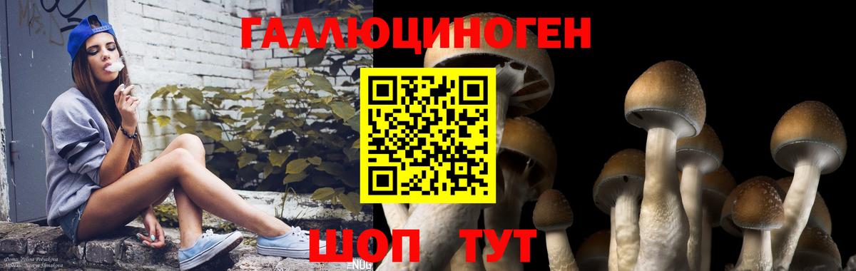 Псилоцибиновые грибы MAGIC MUSHROOMS Протвино