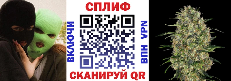 Бошки марихуана MAZAR  где можно купить   Протвино 