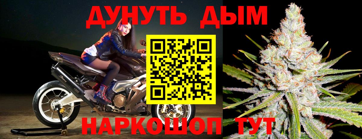 Канабис план Протвино